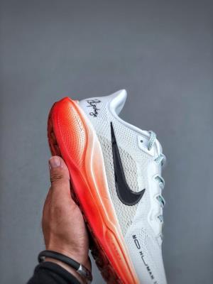 wholesale quality nike pegasus 41 model no. 6